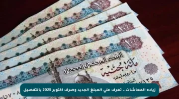 زيادة المعاشات.. تعرف على المبلغ الجديد وصرف أكتوبر 2025 بالتفصيل
